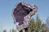 Amethyst Geode with Metal Stand - Spectacular Display! #208916-2